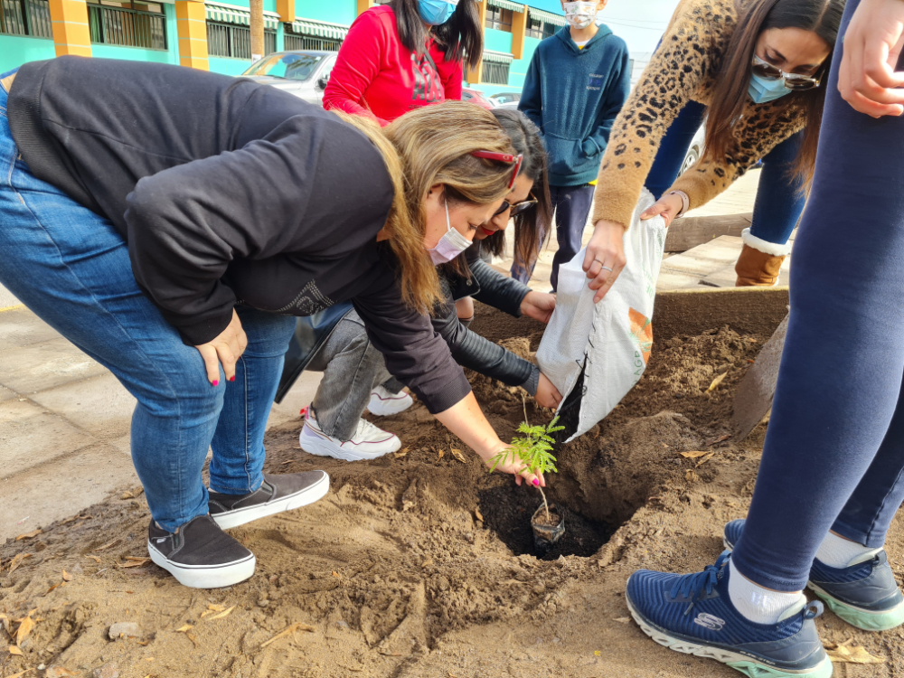 «Aquel que planta un árbol, planta una esperanza». Lucy Larcom