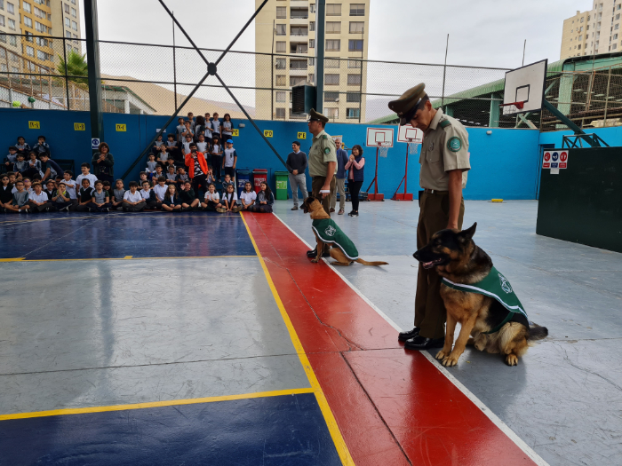 Visita de perros policiales al colegio Hispano Británico