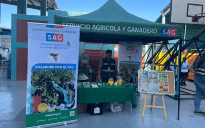 Difusión de la «Campaña de la Mosca de la Fruta» en nuestro Colegio