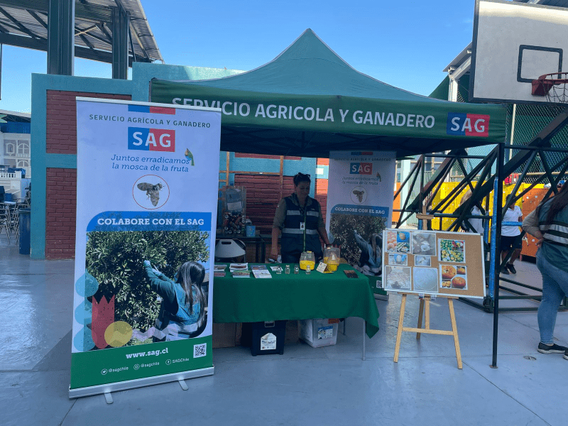 Difusión de la «Campaña de la Mosca de la Fruta» en nuestro Colegio