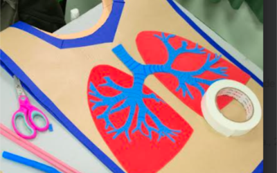 Estudiantes de 5° Básico aprenden sobre el Cuerpo Humano con creativa pasarela científica