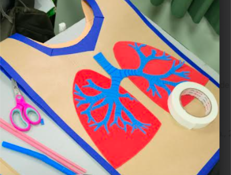 Estudiantes de 5° Básico aprenden sobre el Cuerpo Humano con creativa pasarela científica