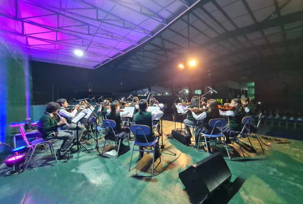 ¿Sabías que la práctica de un instrumento musical es un formidable impulsor del éxito académico?