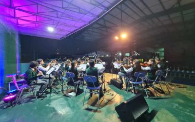 ¿Sabías que la práctica de un instrumento musical es un formidable impulsor del éxito académico?