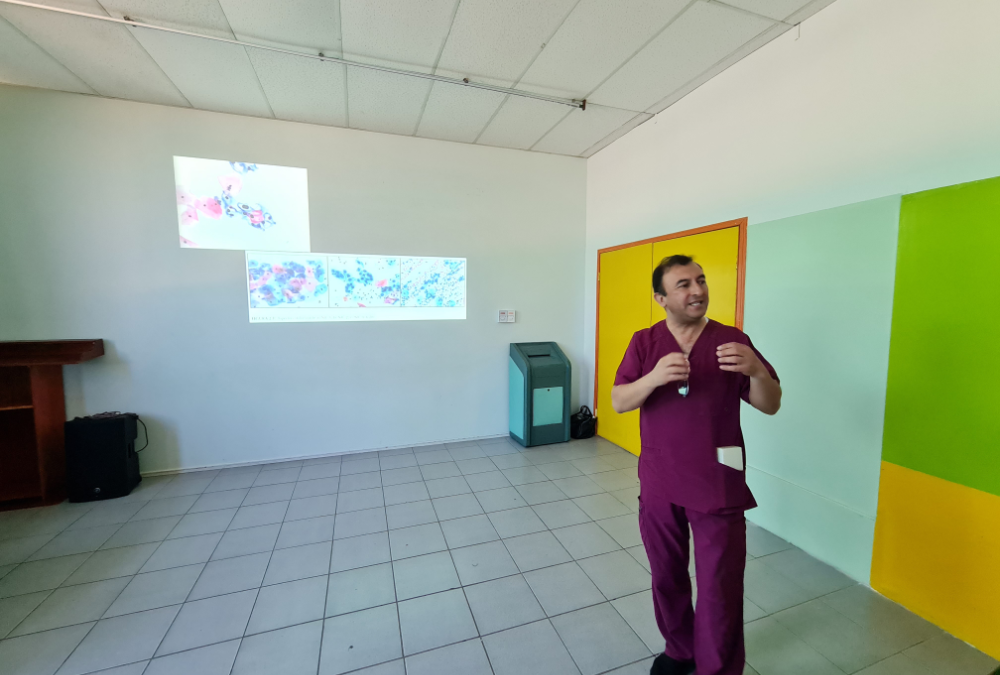 Electivo de Biología Celular y Molecular participa en charla de Cáncer y Virus del Papiloma Humano