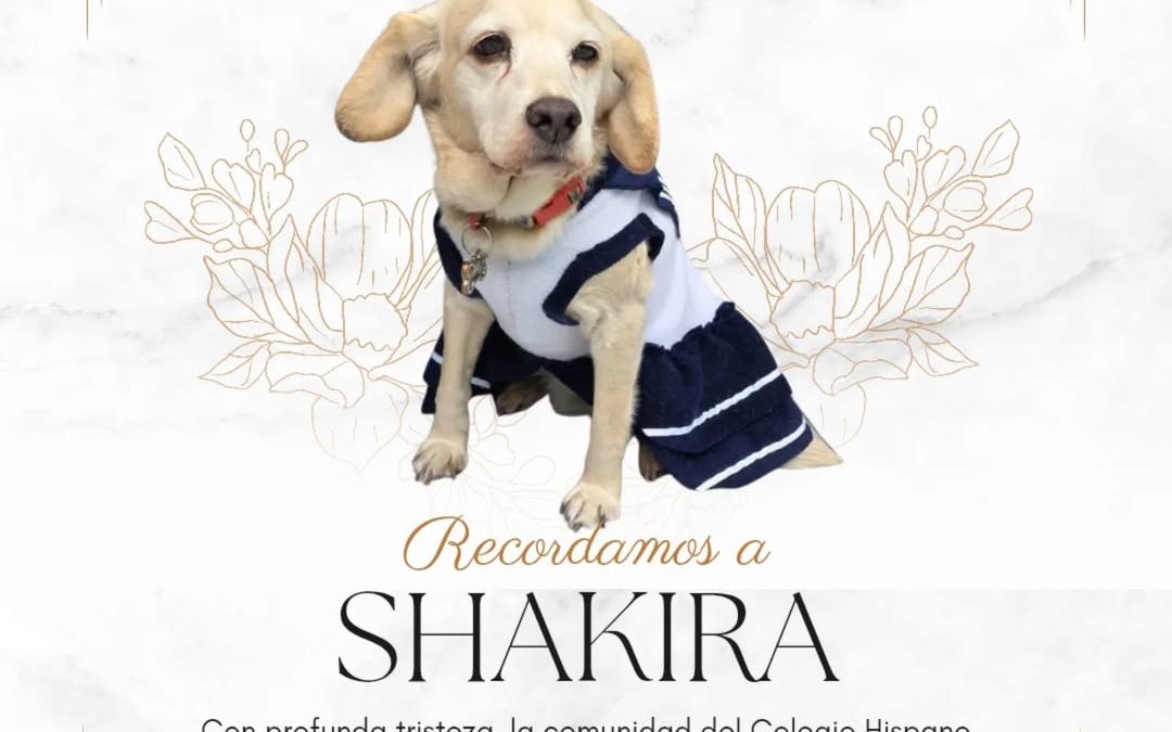 Recordamos a Shakira
