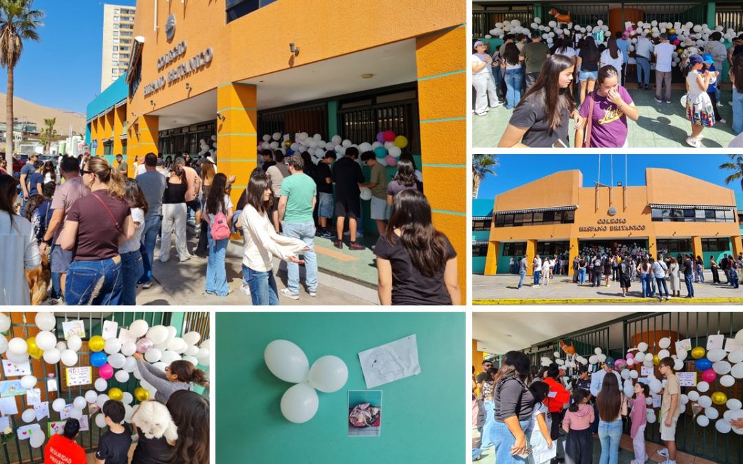 Comunidad Hispano Británico despide con emotivo homenaje a Shakira, la perrita que acompañó generaciones completas