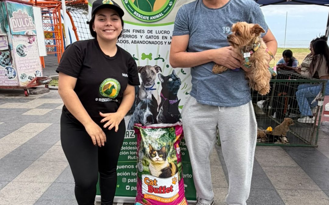 Solidaridad que transforma: familias del Colegio Hispano Británico entregan cerca de 400 kilos de alimento a refugios de animales rescatados