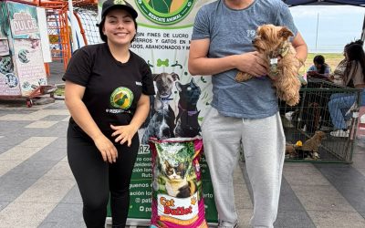 Solidaridad que transforma: familias del Colegio Hispano Británico entregan cerca de 400 kilos de alimento a refugios de animales rescatados